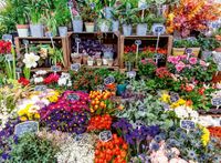 Ravensburger Flower Market, France - obrázek puzzlí