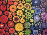 Ravensburger Flower Power - puzzle image