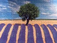 Ravensburger French Landscape - puzzle image
