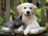 Ravensburger Friendly Opposites - obrázek puzzlí