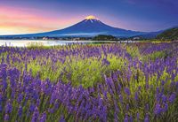 Ravensburger Fuji Mountain - obrázek puzzlí