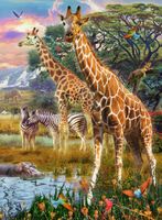 Ravensburger Giraffes in Africa - puzzle image