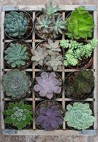 Ravensburger Puzzle Moment: Green - puzzle image