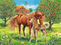 Ravensburger Horses in the Field - obrázek puzzlí