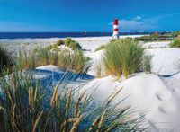 Ravensburger In the Dunes - puzzle image