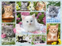 Ravensburger Kitten In the Basket - puzzle image