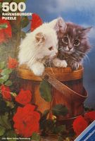 Ravensburger Kitten with Roses - obrázek puzzlí
