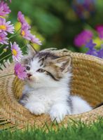 Ravensburger Kittens in the Countryside - Hut - obrázek puzzlí