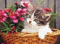 Ravensburger Kitty - obrázek puzzlí