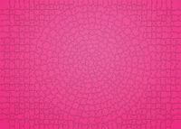 Ravensburger Krypt Pink - obrázek puzzlí