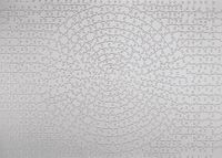 Ravensburger Krypt Silver - obrázek puzzlí