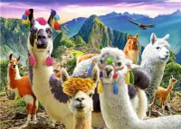 Trefl Llamas in the Mountains - obrázek puzzlí