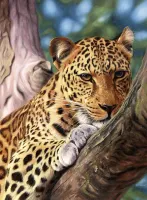 Ravensburger Leopard in a Tree - obrázek puzzlí