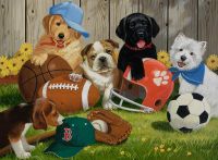 Ravensburger Let's Play Ball! - obrázek puzzlí
