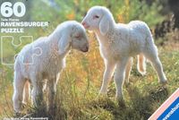 Ravensburger Little Sheeps - obrázek puzzlí