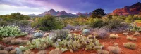 Ravensburger Magical Desert - obrázek puzzlí