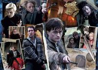Ravensburger Magical Student Harry Potter - puzzle image