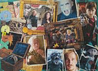 Ravensburger Magical Student Harry Potter - puzzle image