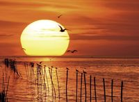 Ravensburger Magical Sunset - obrázek puzzlí