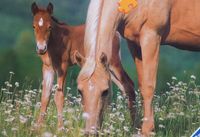 Ravensburger Mother's Pride - obrázek puzzlí