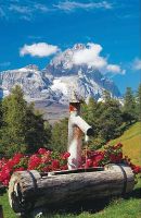 Ravensburger Mountain Water - puzzle image