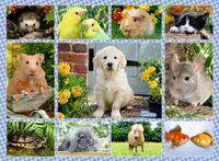 Ravensburger My First Pet - puzzle image