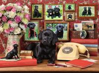 Ravensburger My Loyal Friends - obrázek puzzlí