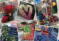 Ravensburger NYC Flower Flash - obrázek puzzlí