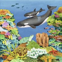 Ravensburger Ocean Joy - obrázek puzzlí