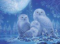 Ravensburger Owls in the Moonlight - puzzle image
