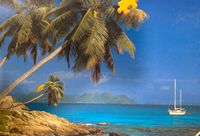 Ravensburger Palm Beach - obrázek puzzlí