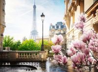 Ravensburger Springtime in Paris - obrázek puzzlí