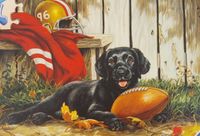 Ravensburger Possession of the Ball - puzzle image