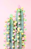 Ravensburger Puzzle Moment: Cactus - puzzle image