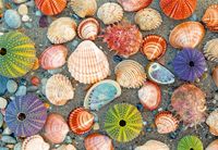 Ravensburger Puzzle Moment: By the Seashore - puzzle image