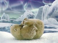 Ravensburger Roll Backward - puzzle image