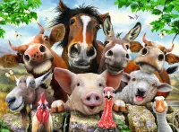 Ravensburger Say Cheese! - puzzle image