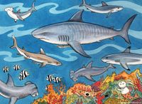Ravensburger Sea of Sharks - obrázek puzzlí