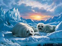 Ravensburger Seal Pups in the Eternal Ice - obrázek puzzlí