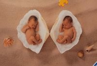 Ravensburger Seashell Babies - puzzle image