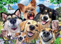 Ravensburger Selfies Dogs' Delight - obrázek puzzlí