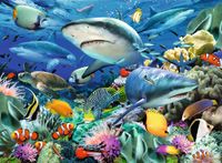Ravensburger Shark Reef - obrázek puzzlí