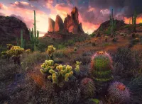 Ravensburger Spikes - obrázek puzzlí