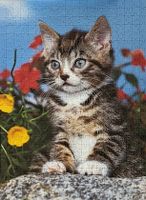 Ravensburger Striped Kitten - puzzle image