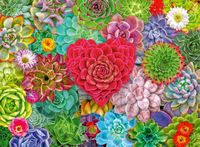 Ravensburger Succulent Love - obrázek puzzlí
