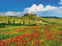 Ravensburger Summer in Tuscany - obrázek puzzlí