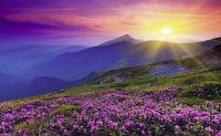 Ravensburger Sunrise, Mountain Meadow - puzzle image