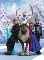 Ravensburger The Frozen Difference - puzzle image