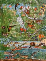Ravensburger The Rain Forest - obrázek puzzlí