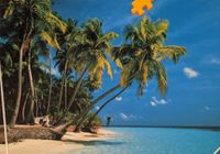 Ravensburger Tropical Paradise - obrázek puzzlí